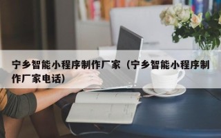 郓城宁乡智能小程序制作厂家（宁乡智能小程序制作厂家电话）